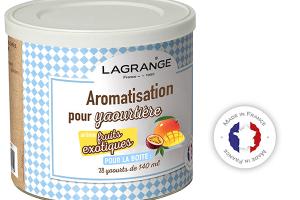 Arôme pour yaourt Fruits exotiques 425 g 380410 Lagrange