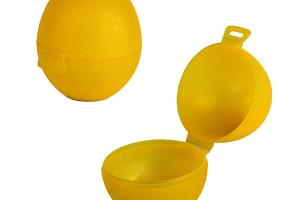 Boîte de conservation pour citrons