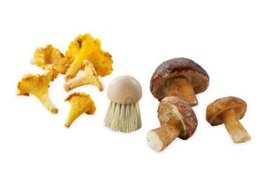 Brosse à champignons La Bonne Graine