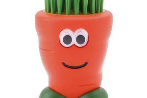 Brosse à légumes VeggieDude