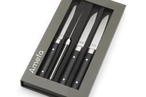 Coffret 4 couteaux steak Fusion Amefa