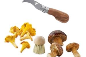 Set brosse à champignons et couteau à champignons pliable