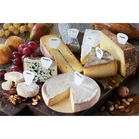 Boite de 16 étiquettes marque-fromages Boite de 16 étiquettes marque-fromages