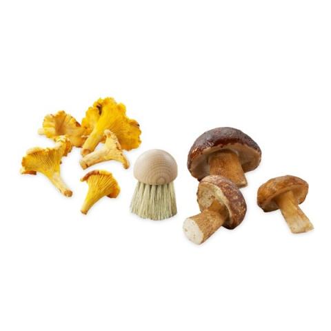 Brosse à champignons La Bonne Graine Brosse à champignons La Bonne Graine