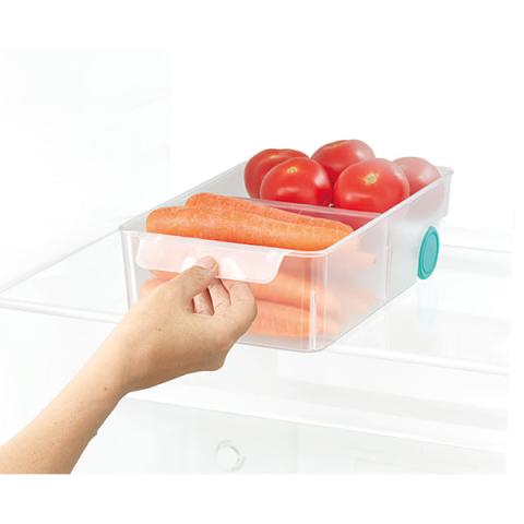 Grand bac rangement FridgeStore Joseph Joseph