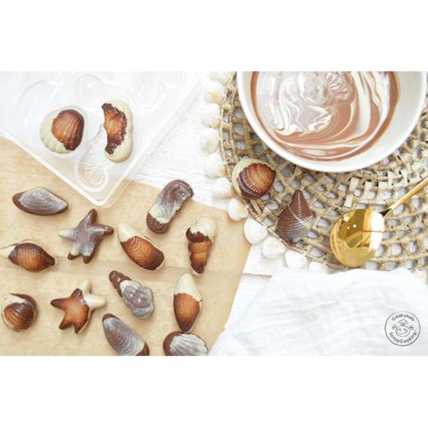 Moule rigide pour chocolats Friture de pâques Scrapcooking Moule rigide pour chocolats Friture de pâques Scrapcooking