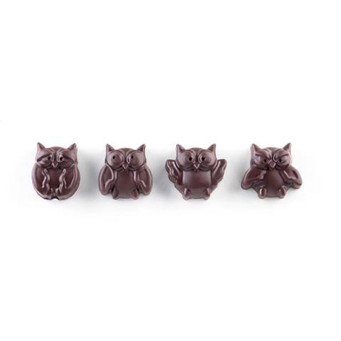 Moule en silicone 12 chocolats chouette Silikomart