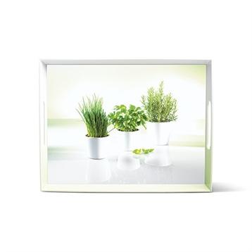 Plateau de service motif herbes Classic 50 x 37 cm Emsa