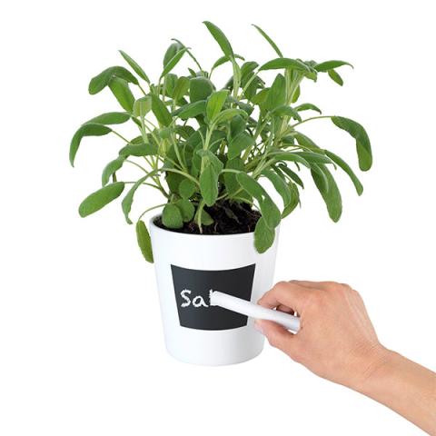 Pot à herbes en céramique Waia Wenko by Maximex Pot à herbes en céramique Waia Wenko by Maximex