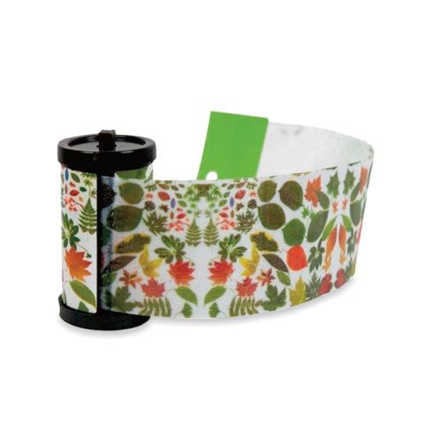 Set de 4 rouleaux piège à mouches Set de 4 rouleaux piège à mouches