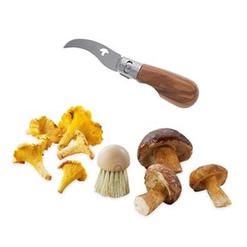 Set brosse à champignons et couteau à champignons pliable